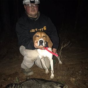 Meet your Posher, Brett